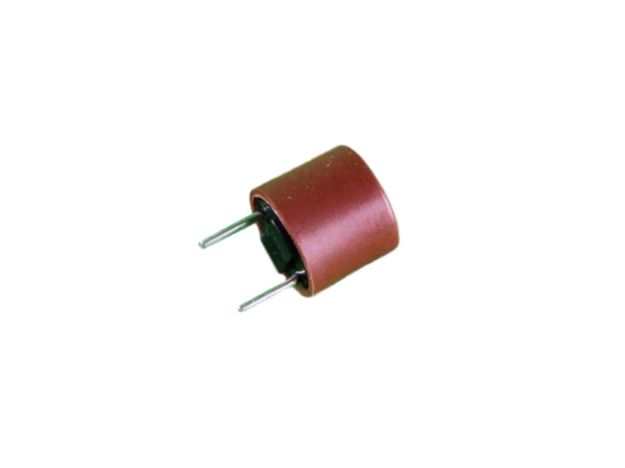 Picture of FUSE,QUANTUM  5 AMP, 250VAC