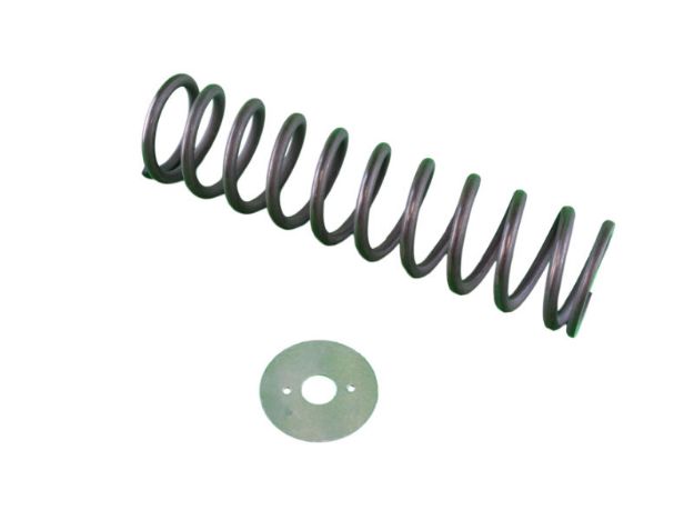 Picture of SPRING 29 PSI  