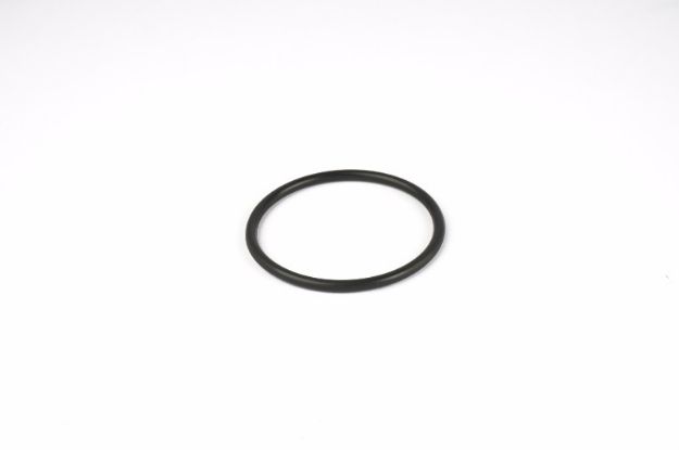 Picture of ORING FOR ADAPTER FPT  