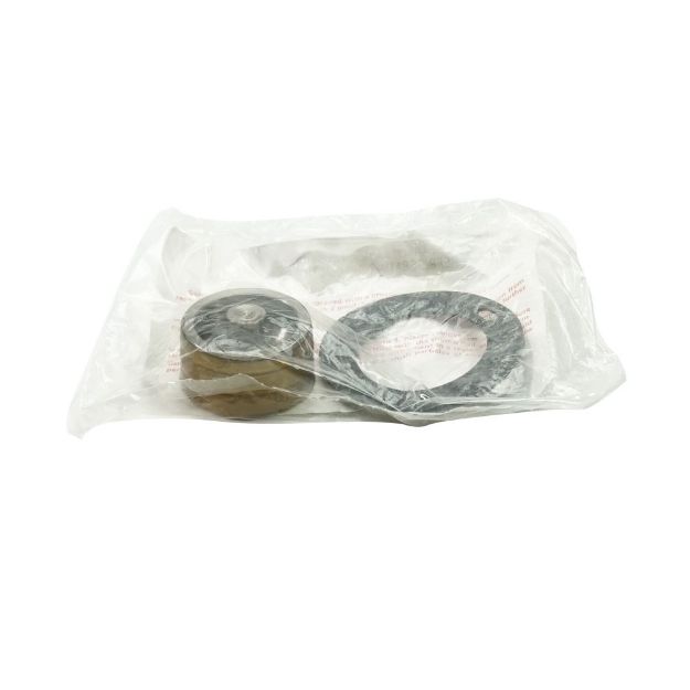 Picture of PISTON KIT  1"", A4A & S4A