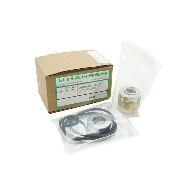 Picture of GASKET KIT, HAND VALVE 6" 