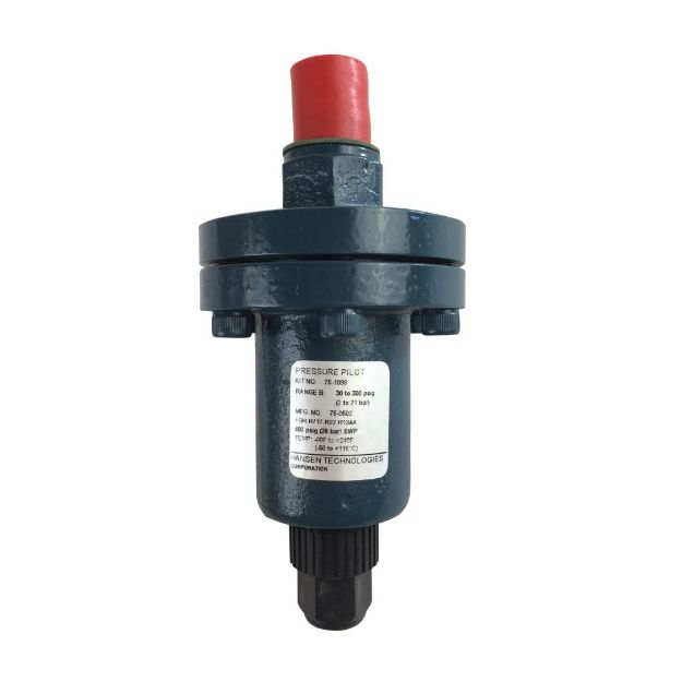 Picture of PRESSURE MODULE, INLET, TYPE M3, B: 30-300 PSIG