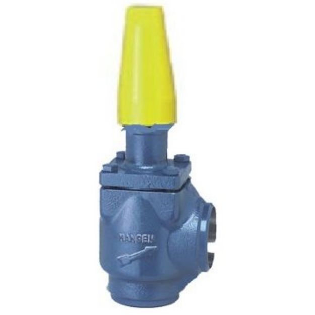 Picture of HAND EXP. VALVE 1/2" ANGLE FPT  W/ CAP 