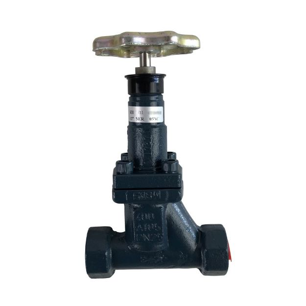Picture of GLOBE VALVE W/ SEAL CAP  3/4" FPT, BOLTED BONNET