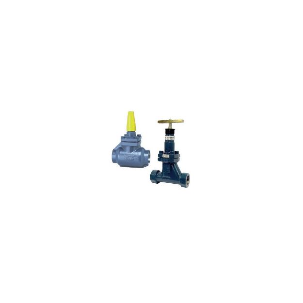 Picture of GLOBE VALVE, HAND EXPANSION  1 1/4" SW, SEAL CAP, T-STYLE