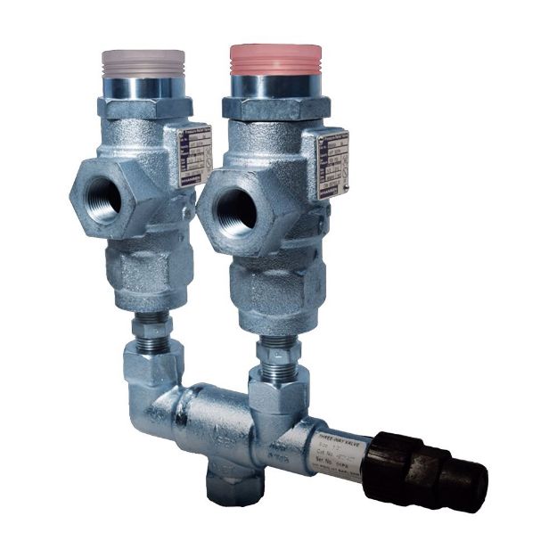 Picture of DUAL RELIEF VALVE KIT _x000D_
1/2" INLET X 3/4" OUTLET SET @ 350 _x000D_
POPEYE DESIGN _x000D_
