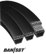 Picture of Bestorq 2-Banded V-Belt