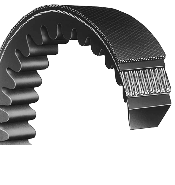 Picture of BESTORQ Classical Cogged Belt