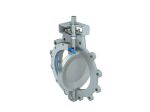 Picture of High performance Valve BFY 41-060-466