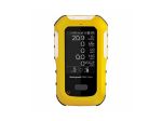 Picture of MULTI GAS HANDHELD DETECTOR