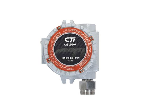 Picture of CUMBUSTIBLE SENSOR, METHANE