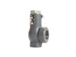 Picture of RELIEF VALVE  3/4" X 1-1/4", SET @ 200 PSIG
