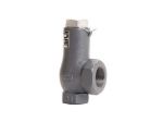 Picture of RELIEF VALVE  1" X 1 1/2", SET @ 300 PSIG