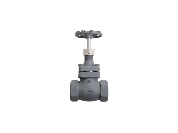 Picture of ANGLE VALVE, 2" W/ HANDLE, THREADED 