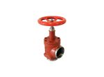 Picture of ANGLE VALVE 8" WELD NECK HW  SVA-S 200 A