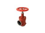 Picture of ANGLE VALVE 8" WELD NECK HW  SVA-S 200 A