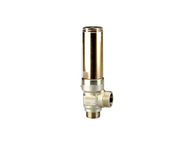 Picture of SFV 25 T 218 SAFETY VALVE  