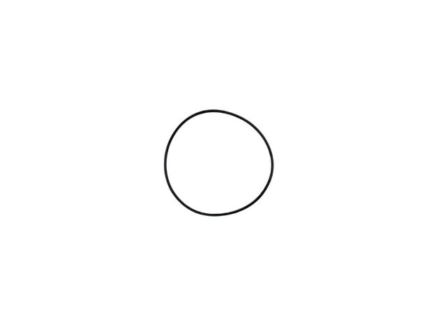 Picture of O-RING  (OLD 33331A)  