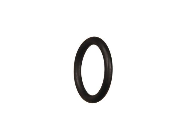 Picture of O-RING FOR NEAP FLOAT BALL SEAT