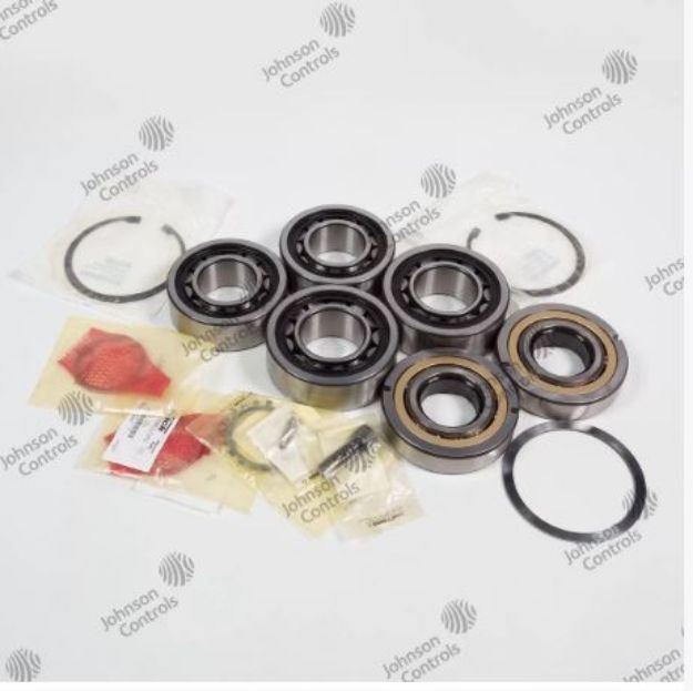 Picture of BEARING KIT, 233  